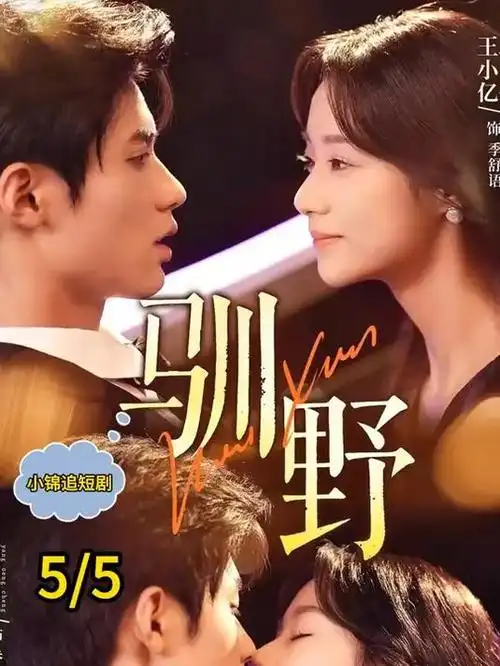 我的大叔 短剧 2024 李知恩李善均
